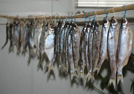 Как вялить и сушить рыбу: леща, плотву и другой улов